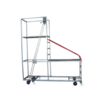 BARS SERA KÜLTÜREL İŞLEME (5 MT)
